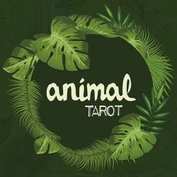 Animal Tarot - The Other Brothers