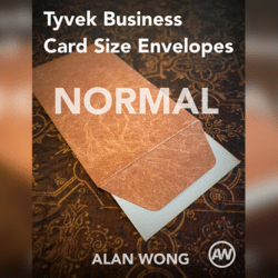Enveloppes format carte de visite Tyvek (lot de 10)