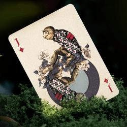 Moooi Collector's Edition Extinct Animals kaartspel met luxe designverpakking